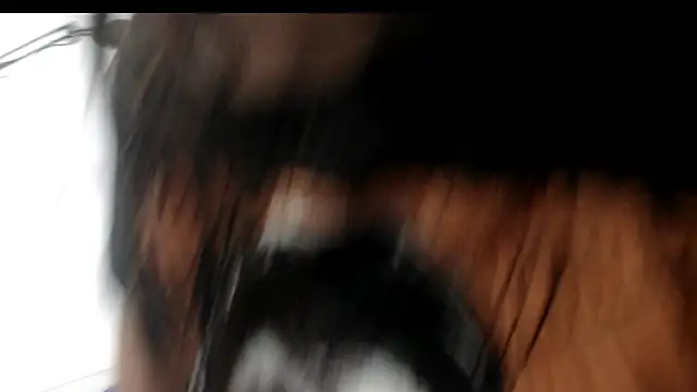 evaleribigtits18 online show from November 24, 2025, 7:13 pm