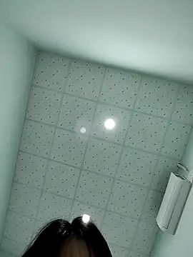 -Zelda- online show from November 7, 2025, 11:54 am