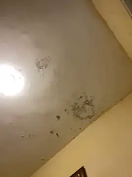 tobiramalapara online show from December 16, 2025, 2:22 pm