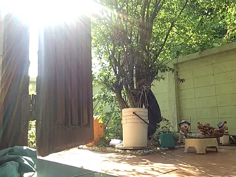 scottish068 online show from March 14, 2025, 1:59 am