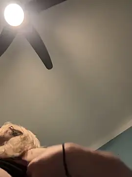 Annelibre online show from November 14, 2025, 10:07 pm