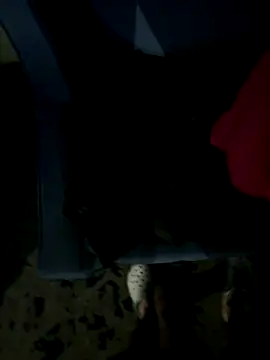 JosephAKenwood online show from December 2, 2025, 1:39 pm