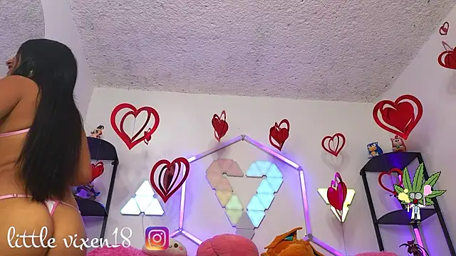 Snapshot of littlevixen18 chatting on February 25, 2026, 2:05 pm littlevixen18 online show from February 25, 2026, 2:05 pm