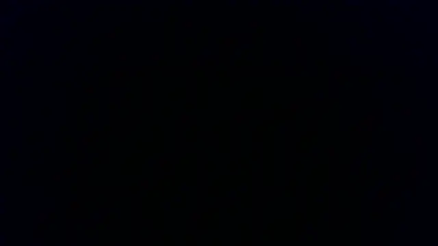 Kashtanka  online show from January 8, 2026, 7:54 am