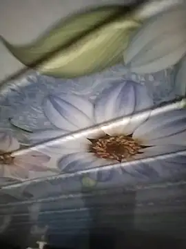 Snapshot of kunalmishra2003 chatting on November 20, 2025, 11:48 pm kunalmishra2003 online show from November 20, 2025, 11:48 pm