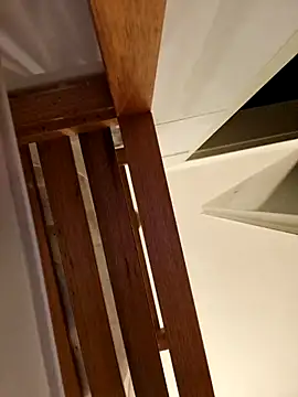 Josephine LIVE online show from November 28, 2025, 5:21 am