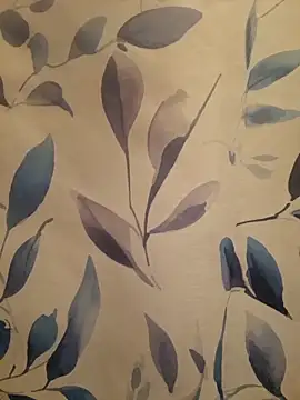 Josephine LIVE online show from March 27, 2026, 11:15 pm