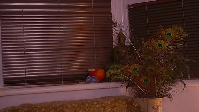 Snapshot of divinelights chatting on November 12, 2025, 5:02 pm divinelights online show from November 12, 2025, 5:02 pm