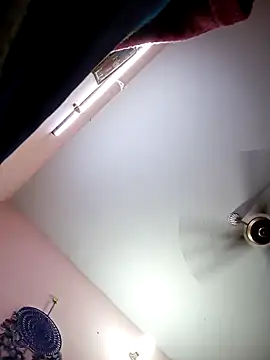 Tamil sreelekha online show from February 13, 2025, 1:37 pm