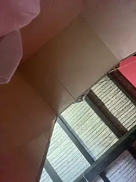 Snapshot of Dalton_oficial chatting on February 13, 2026, 1:45 am Dalton oficial online show from February 13, 2026, 1:45 am