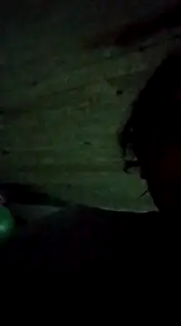 Snapshot of bonnnieandclydee chatting on March 12, 2025, 2:09 am bonnnieandclydee online show from March 12, 2025, 2:09 am