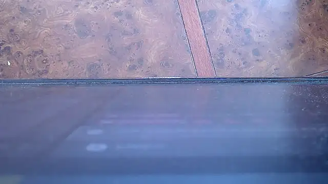 SusanLeroy online show from November 12, 2025, 3:45 pm