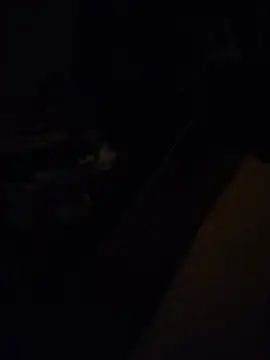 Snapshot of sajida34 chatting on June 30, 2026, 12:33 am sajida34 online show from June 30, 2026, 12:33 am