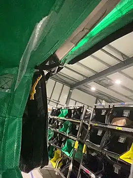 benben190 online show from February 5, 2025, 11:28 pm