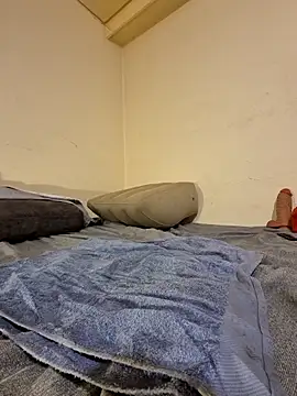 Snapshot of fox--3 chatting on February 10, 2026, 5:00 am fox--3 online show from February 10, 2026, 5:00 am