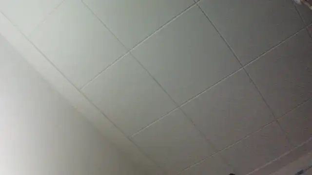 Snapshot of gorkamacbew chatting on September 9, 2025, 2:00 am gorkamacbew online show from September 9, 2025, 2:00 am