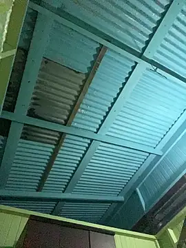 islandvybee55 online show from January 11, 2026, 9:14 am