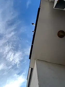 eddy355 online show from November 9, 2025, 9:51 am