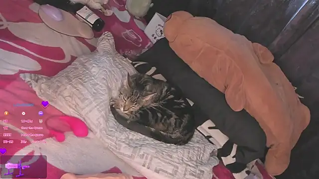 Snapshot of MiaGoth_ chatting on September 13, 2025, 9:14 pm MiaGoth online show from September 13, 2025, 9:14 pm