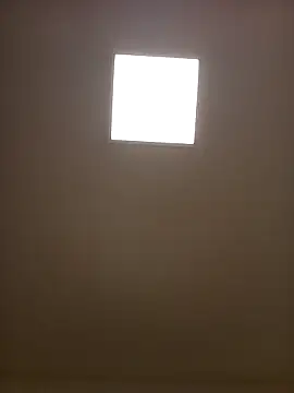 Porzz-6 online show from November 18, 2025, 10:03 pm