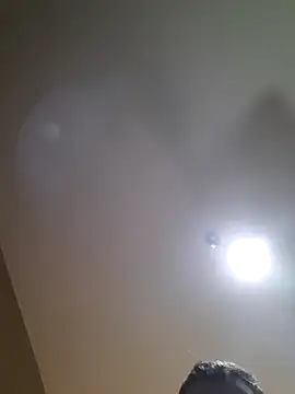 Snapshot of Colorao4 chatting on October 2, 2025, 11:17 am Colorao4 online show from October 2, 2025, 11:17 am