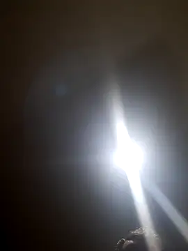 Snapshot of Colorao4 chatting on October 28, 2025, 7:34 am Colorao4 online show from October 28, 2025, 7:34 am