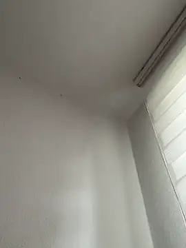 derFickerali online show from October 20, 2025, 9:21 am