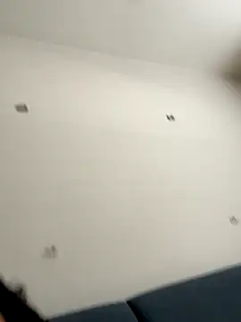 calibabi online show from November 19, 2025, 6:30 pm