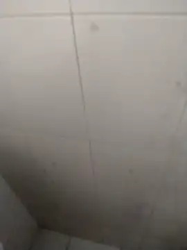 rohitlov150 online show from September 18, 2025, 2:52 pm