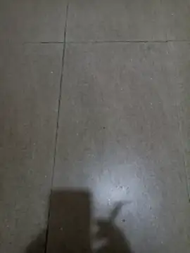 Snapshot of wildfox566 chatting on January 18, 2026, 3:10 am wildfox566 online show from January 18, 2026, 3:10 am