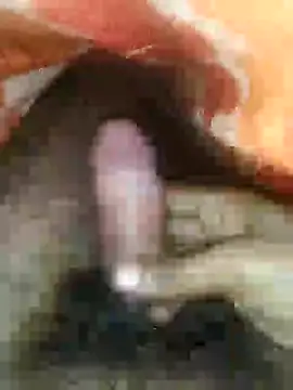 cjonybab online show from January 14, 2025, 2:29 am