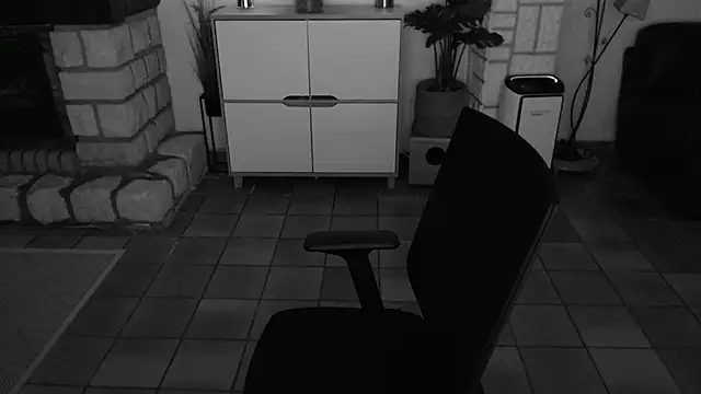 Snapshot of neard chatting on December 11, 2024, 9:34 pm neard online show from December 11, 2024, 9:34 pm