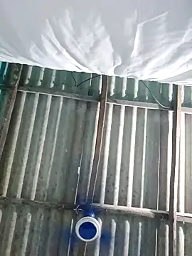 hotbaby 5 online show from October 27, 2025, 10:30 am