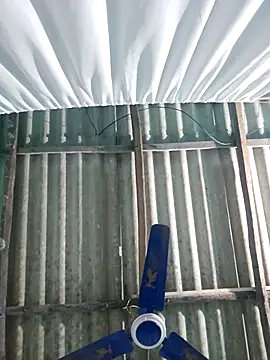 hotbaby 5 online show from November 22, 2025, 6:34 am