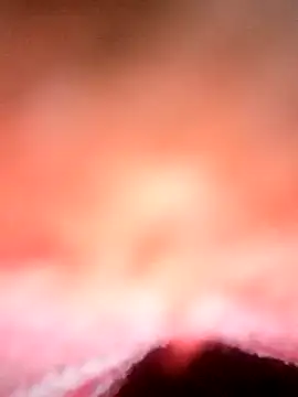 Avantika19 online show from January 6, 2025, 12:13 pm