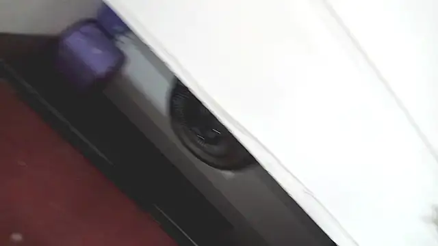 PetiteIvoryQueen19 online show from March 7, 2025, 3:40 am