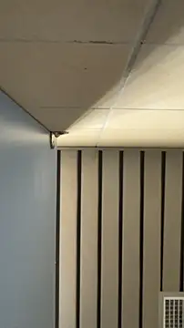 Snapshot of frnk30151 chatting on September 21, 2025, 3:02 pm frnk30151 online show from September 21, 2025, 3:02 pm