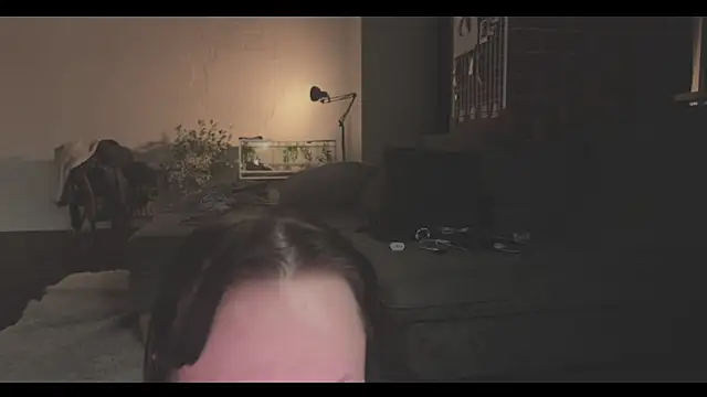 vinylstore online show from January 22, 2025, 3:40 pm