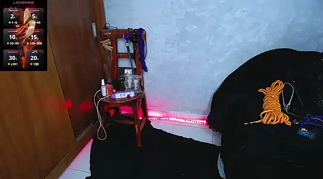 mysteery katty  online show from December 16, 2024, 9:31 pm