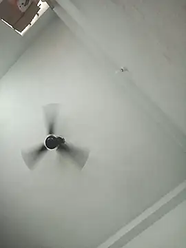 pintuS40 online show from November 6, 2025, 3:07 am