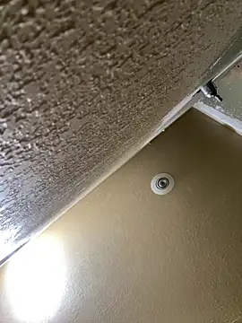 Ohodges online show from September 17, 2025, 7:37 pm