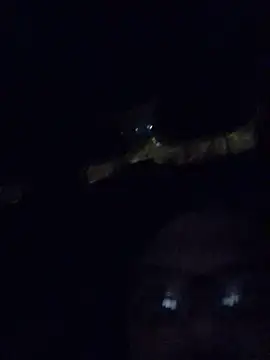 Snapshot of Watson4U chatting on December 13, 2024, 6:27 pm Watson4U online show from December 13, 2024, 6:27 pm