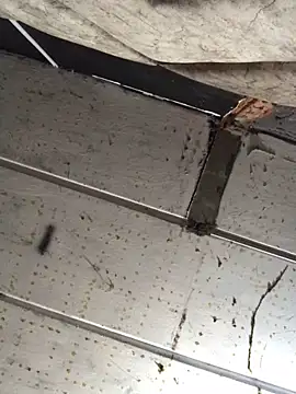 macg96 online show from December 17, 2024, 8:34 am