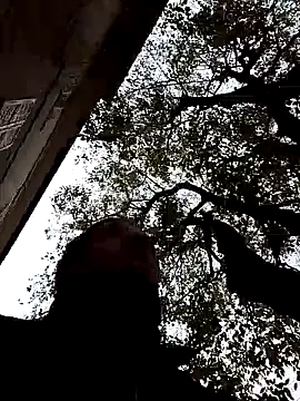 Snapshot of openlegsforyou chatting on November 22, 2025, 10:03 am openlegsforyou online show from November 22, 2025, 10:03 am