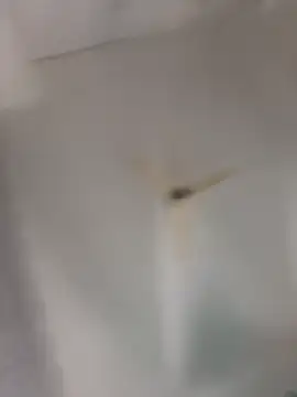 Snapshot of playboy_30 chatting on November 16, 2025, 9:04 am playboy 30 online show from November 16, 2025, 9:04 am