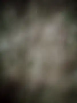 Snapshot of INDIANBOY7439 chatting on March 5, 2026, 10:33 am INDIANBOY7439 online show from March 5, 2026, 10:33 am