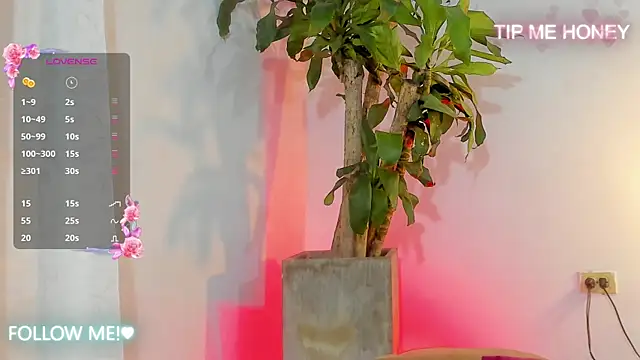 juanmiss online show from February 5, 2025, 9:46 am