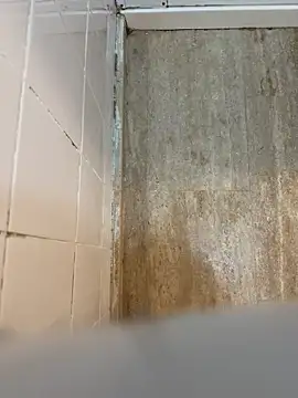 reelciii21 online show from March 23, 2025, 12:58 am