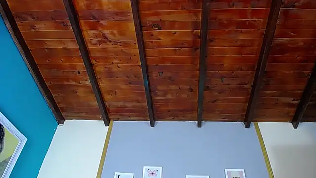 dante ferraraa online show from March 11, 2025, 11:04 pm