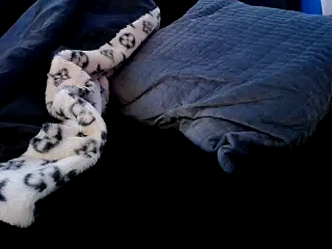 Niquitasparkles online show from December 22, 2024, 9:31 pm